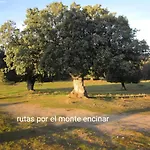 Pinara *