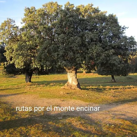 Pinara Casa de Férias *