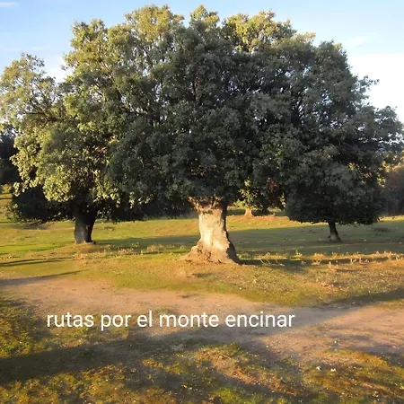 Pinara El Barraco
