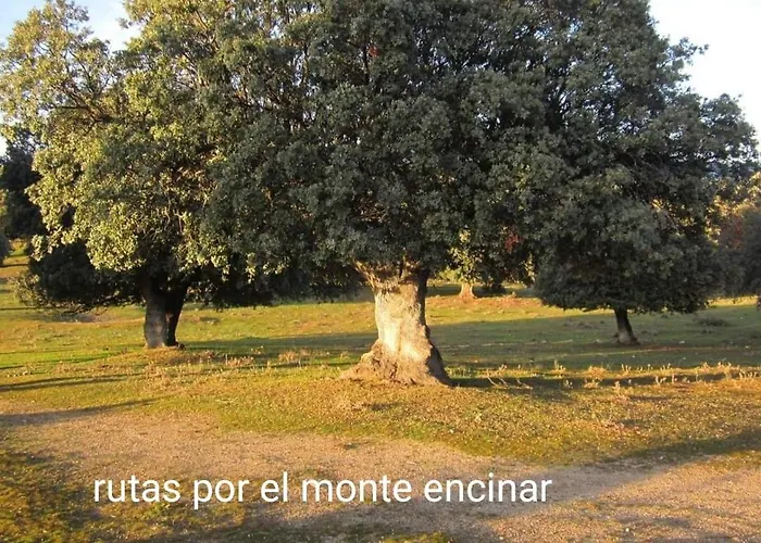 Pinara Holiday home *